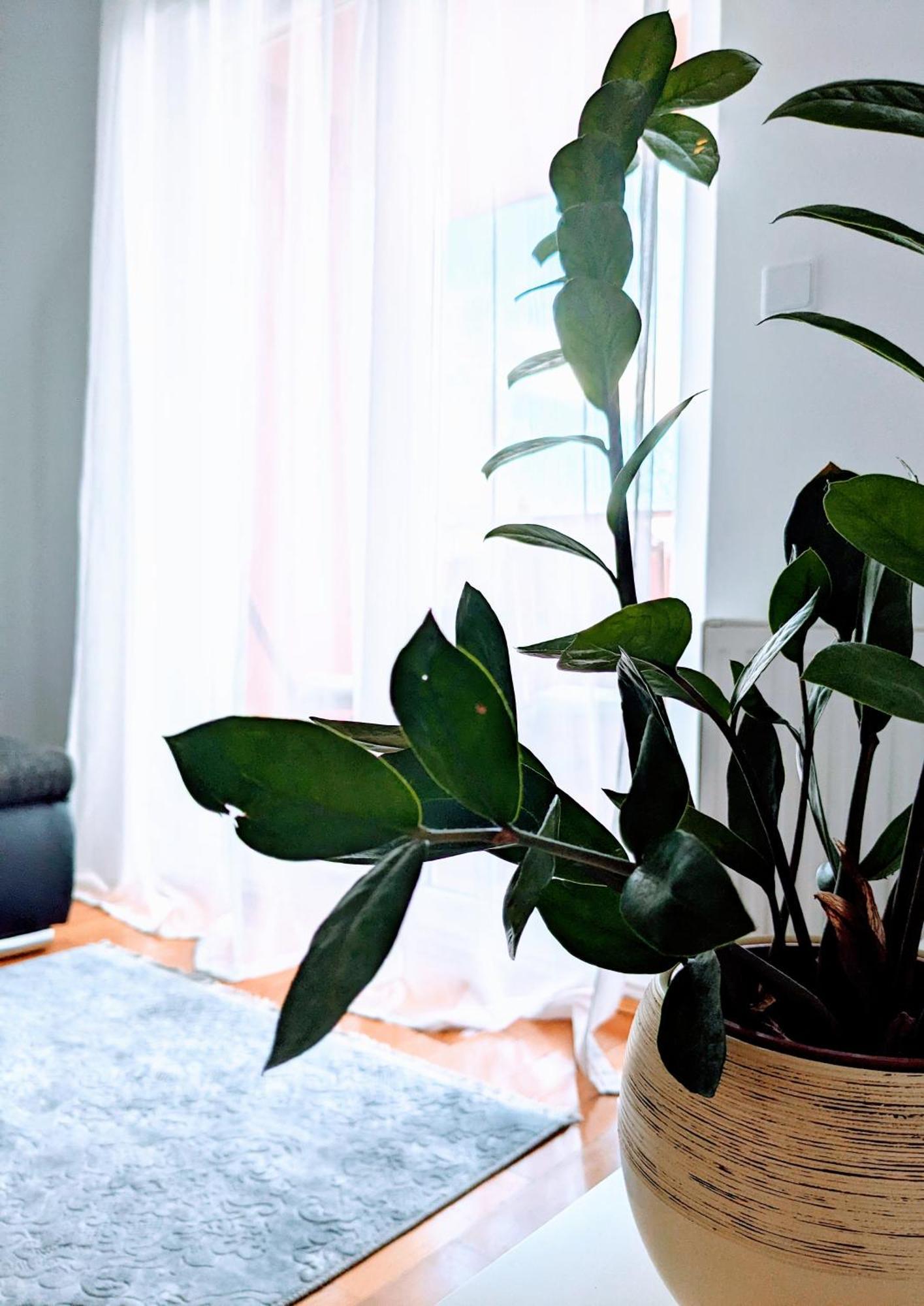 Doma-Lu Apartment-Near Airport And Highway- Free Parking Velika Mlaka Εξωτερικό φωτογραφία